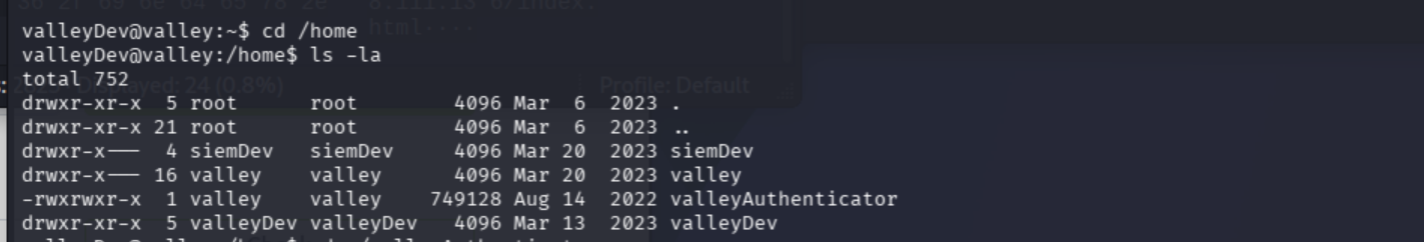/home/ listing showing valleyAuthenticator binary